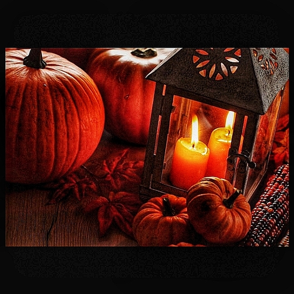 🔥PRICES SLASHED!!~ CLEARANCE TOWARDS BELOW🔥🌞IMPT OFFER INFO⬇️🌞READ BELOW - Picture 3 of 16